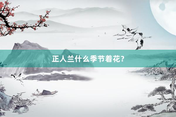 正人兰什么季节着花？