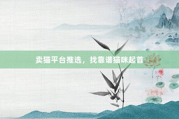 卖猫平台推选，找靠谱猫咪起首