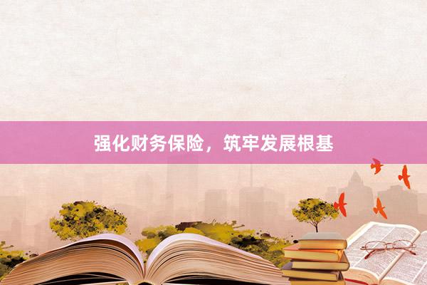 强化财务保险，筑牢发展根基