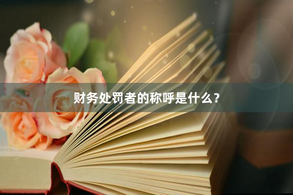 财务处罚者的称呼是什么？